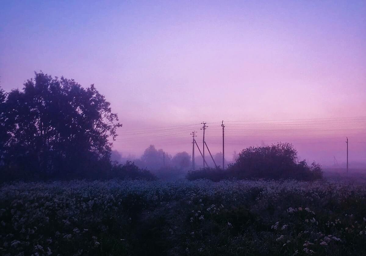 沙尔克04今年能否重返德甲？ 穆斯利奇带队重回正轨